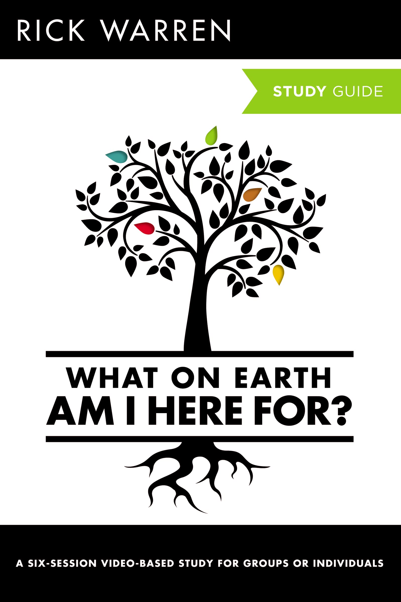 What on Earth Am I Here For? Study Guide